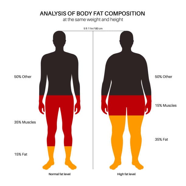 Body Composition Analysis